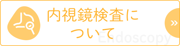 内視鏡検査について